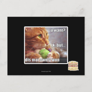 U want? postcard