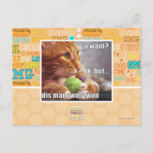U want? postcard
