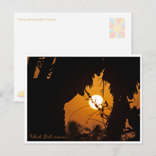 Ubud garden sunset, Bali - ART Postcard