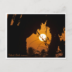 Ubud garden sunset, Bali - ART Postcard