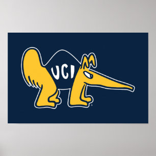 UC Irvine   UCI Anteaters Poster