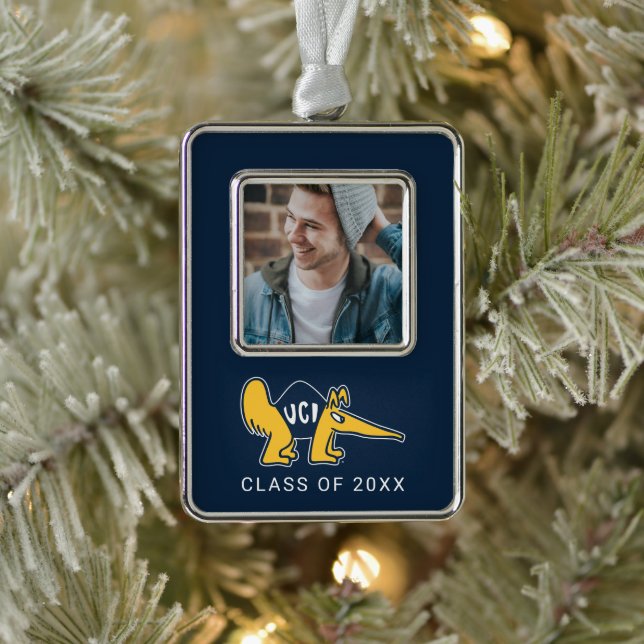 UC Irvine | UCI Anteaters Silver Plated Framed Ornament (Tree)