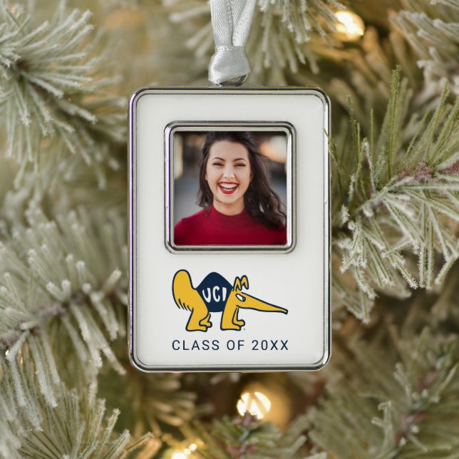 UC Irvine | UCI Anteaters Silver Plated Framed Ornament (Tree)