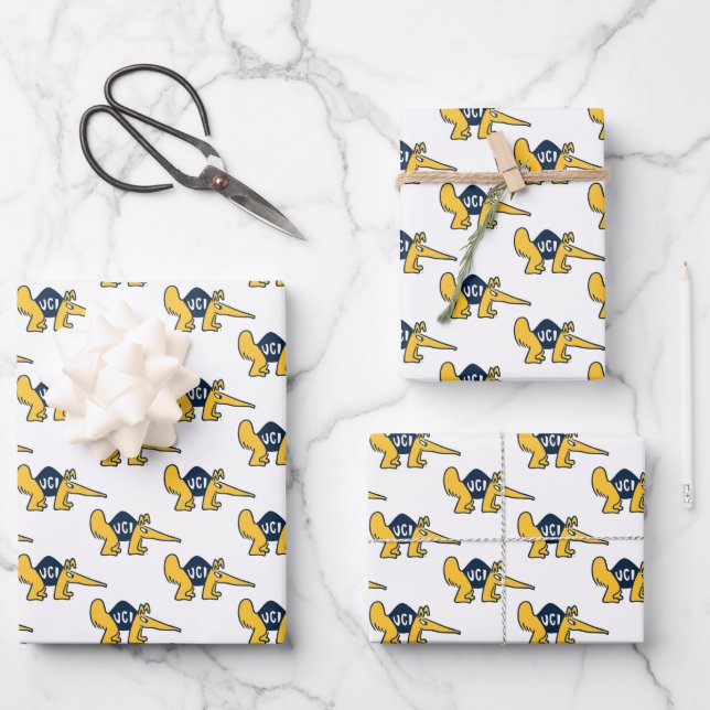 UC Irvine | UCI Anteaters Wrapping Paper Sheet (Front)