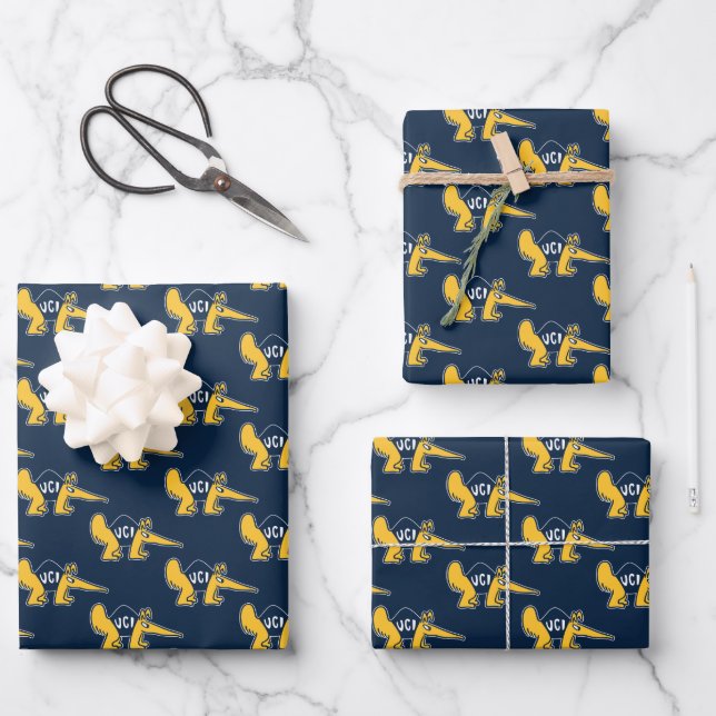 UC Irvine | UCI Anteaters Wrapping Paper Sheet (Front)