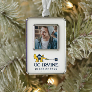 UC Irvine   UCI Anteaters Zot! Silver Plated Framed Ornament