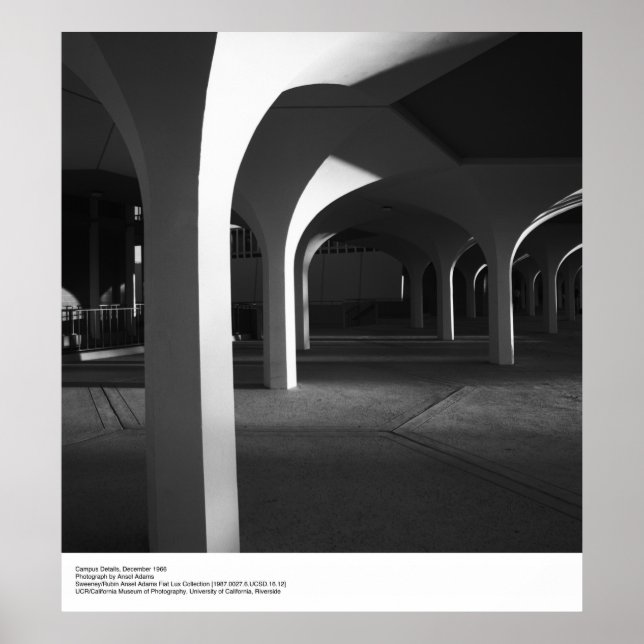 UCSD Campus Details by Ansel Adams Poster (Front)