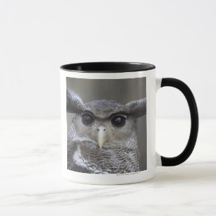 Ueno, Taitoh-ku, Tokyo, Japan Mug
