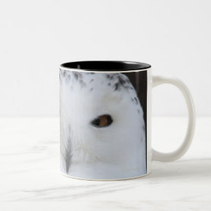 Ueno, Taitoh-ku, Tokyo, Japan Two-Tone Coffee Mug