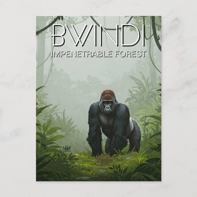 Uganda Bwindi Impenetrable Forest National Park Postcard (Front)