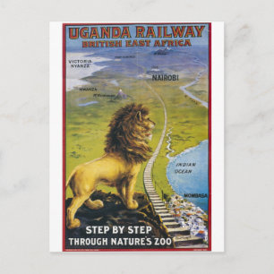 Ugandan Lion Wildlife Vintage Travel Postcard