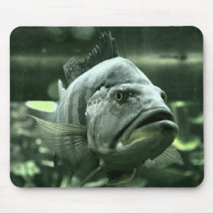 Ugly Aquarium Fish Mouse Pad