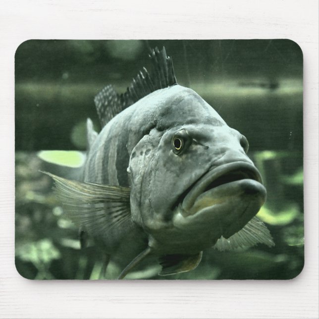 Ugly Aquarium Fish Mouse Pad (Front)