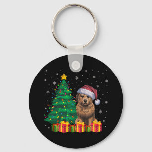 Ugly Briard Santa Hat Christmas Lights Dog Lover X Key Ring