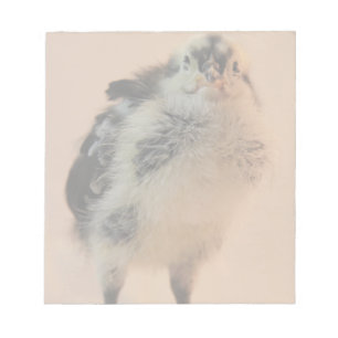 Ugly Chick Notepad