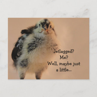 Ugly Chick Postcard