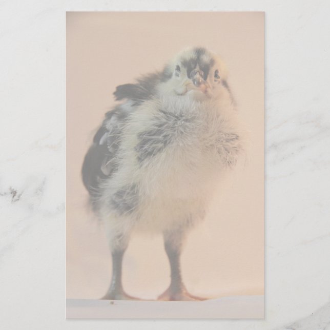 Ugly Chick Stationery (Front)