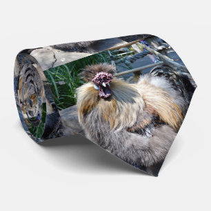 Ugly Chicken, Neck Tie