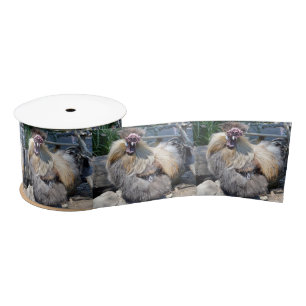 Ugly Chicken, Satin Ribbon