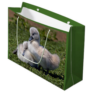 Ugly Ducklings Gift Bag