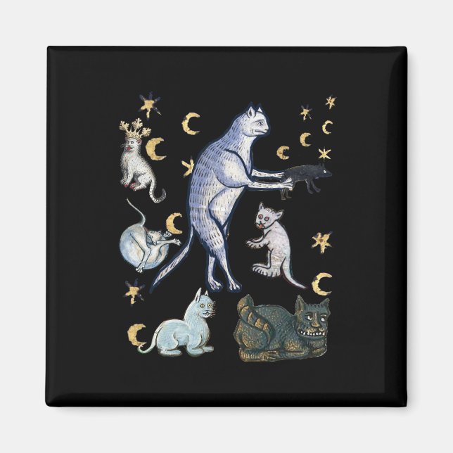Ugly Mediaeval Cats  Magnet (Front)