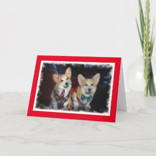 Ugly Sweater Corgi Christmas card