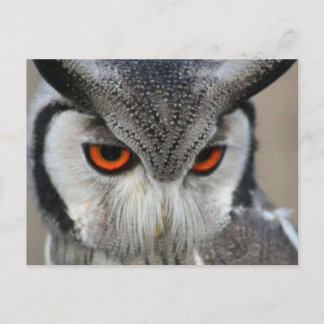 uilen postcard
