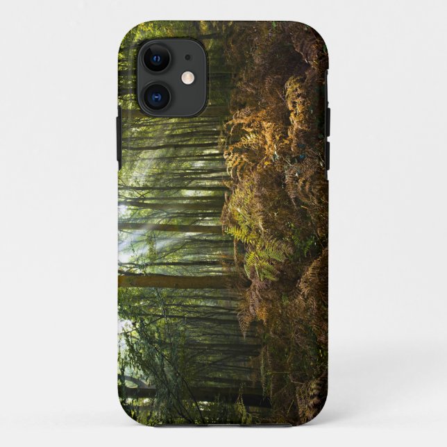 UK, England. Rays of sunlight streaming through Case-Mate iPhone Case (Back)