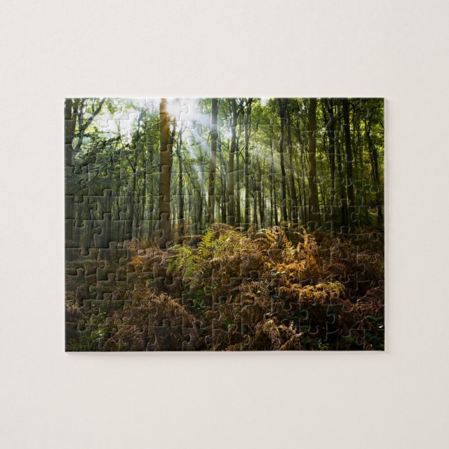 UK, England. Rays of sunlight streaming through Jigsaw Puzzle (Horizontal)