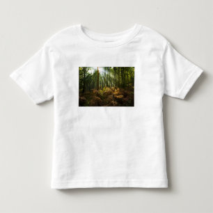 UK, England. Rays of sunlight streaming through Toddler T-Shirt