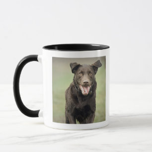 UK, England, Suffolk, Thetford Forest, Black dog Mug