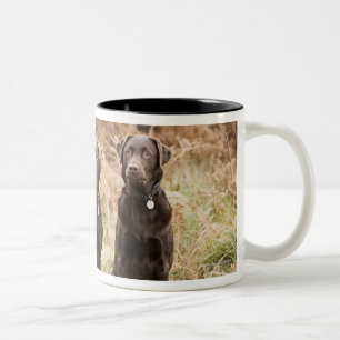 UK, England, Suffolk, Thetford Forest, Portrait Two-Tone Coffee Mug