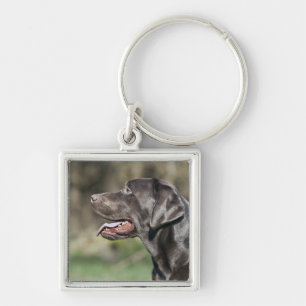 UK, England, Suffolk, Thetford Forest, Profile Key Ring