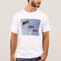 UK Flag between the Afghan and US flags