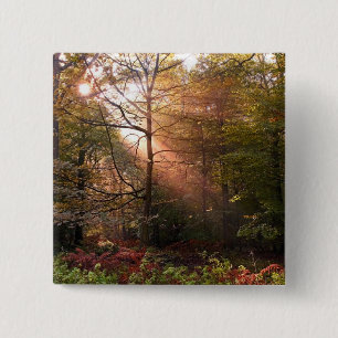 UK. Forest of Dean. Sunbeam penetrating a 15 Cm Square Badge