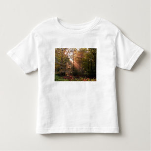 UK. Forest of Dean. Sunbeam penetrating a Toddler T-Shirt