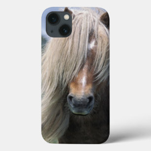 UK, Scotland, Shetland Islands, Shetland pony iPhone 13 Case