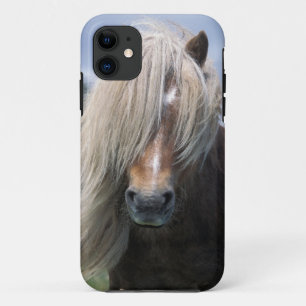 UK, Scotland, Shetland Islands, Shetland pony iPhone 11 Case