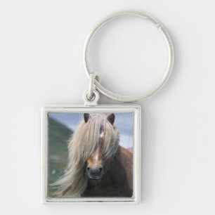UK, Scotland, Shetland Islands, Shetland pony Key Ring