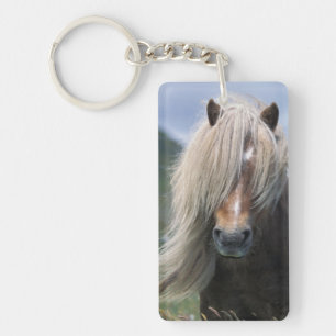 UK, Scotland, Shetland Islands, Shetland pony Key Ring