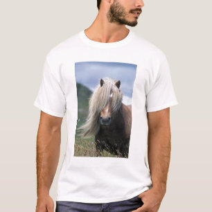 UK, Scotland, Shetland Islands, Shetland pony T-Shirt