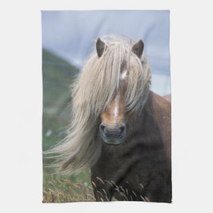 UK, Scotland, Shetland Islands, Shetland pony Tea Towel