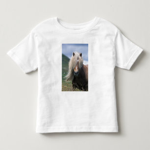 UK, Scotland, Shetland Islands, Shetland pony Toddler T-Shirt