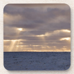 UK Territory, South Georgia Island, Scotia Sea. Coaster