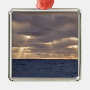 UK Territory, South Georgia Island, Scotia Sea. Metal Ornament