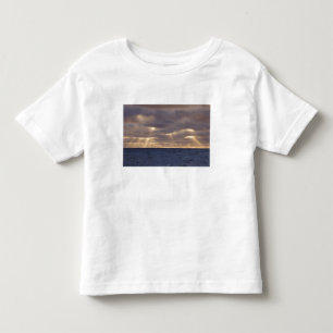UK Territory, South Georgia Island, Scotia Sea. Toddler T-Shirt