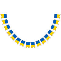 Ukraine Flag