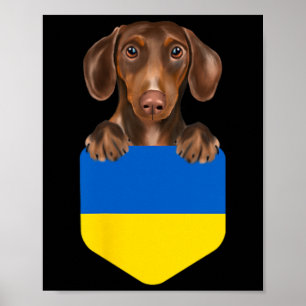 Ukraine Flag Brown Dachshund Dog In Pocket Poster