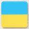 Ukraine Flag