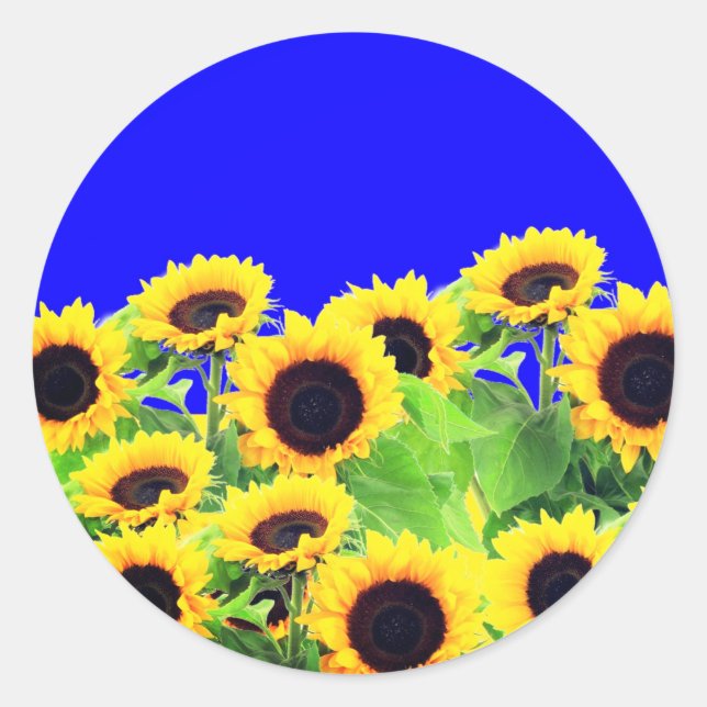 Ukraine Flag Colours Sunflowers Stickers - Freedom (Front)